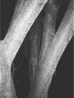 die ewigkeit ist jetzt schon eine weile lang